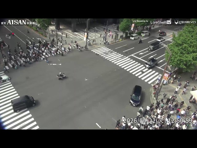秋葉原中央通り交差点（愛三電機から）