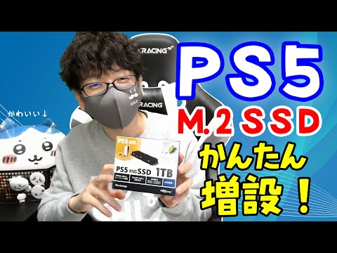 PS5 の内部ストレージを簡単に増やす方法