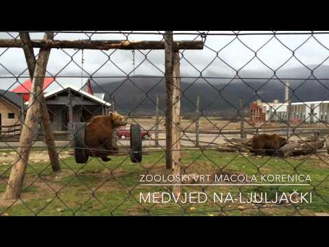 Zoološki vrt Macola u Korenici - medvjedi
