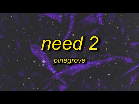Pinegrove - Need 2 (Lyrics) | nothing here to care about (pinegrove shuffle)