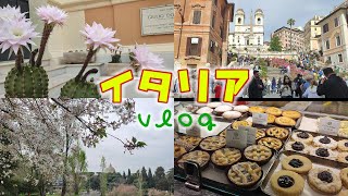 【イタリア日常生活vlog】お花と買い食いとローマの景色
