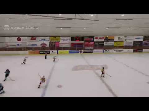 Pelicans Turkoosi U12 Länsi - Jokerit