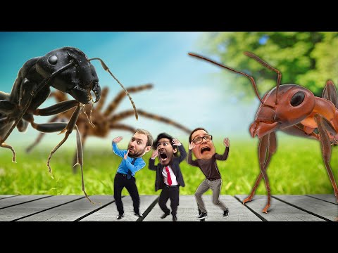 HONEY, WE SHRUNK OURSELVES | Grounded - Part 1