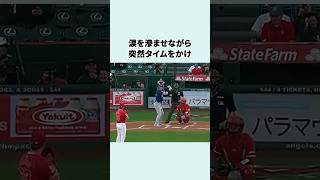 「エンゼルスに愛された」大谷翔平に関する雑学 #野球雑学 #野球 #アメリカンリーグ