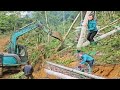 People Pave Their Way Into The Forest To Exploit Huge Timber