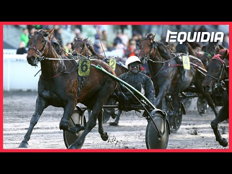 DELIA DU POMMEREUX AJUSTE BOLD EAGLE SUR LE FIL ! | Grand Prix du Bourbonnais 2019