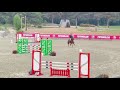 Ruin Franse rijpony PFS Te koop 2019 Vos ,  Mon Nantano de florys