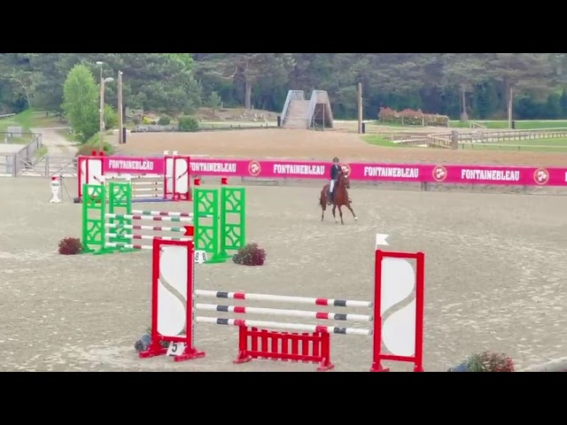 Ruin Franse rijpony PFS Te koop 2019 Vos ,  Mon Nantano de florys