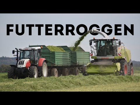 Futterroggen 2021 mit Steyr, John Deere und Claas| techclicks