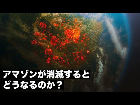 熱帯雨林の下にある巨大な湿原