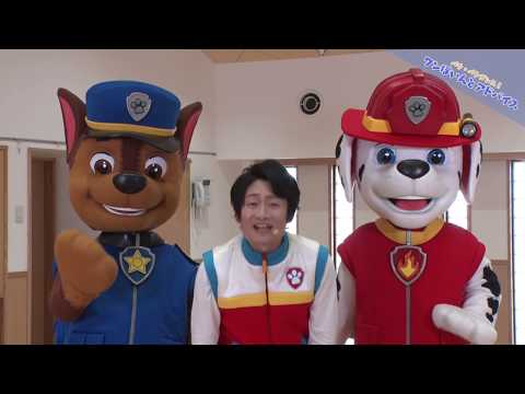 アニメ「パウ・パトロール」レッツ・パウパトダンス！特別編