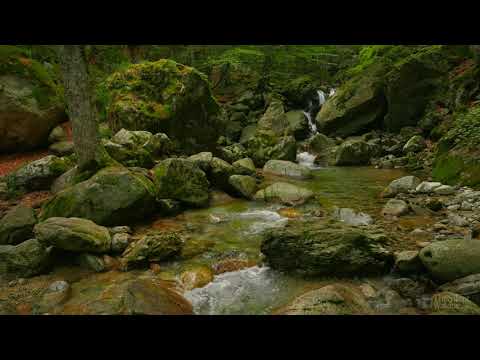 4K HDR Autumn Cascade - Waterfall Sounds - White Water - Relaxing Forest Ambiance