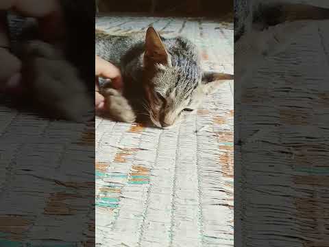 atishay aalshi #😾😽🥱🥱