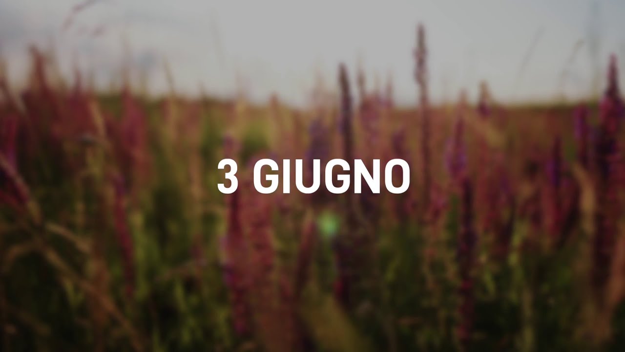 3 Giugno 2025 | Meditazione Parole di Vita