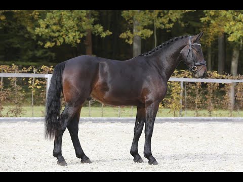 KN 20 v. Valenzio - Ehrenfried