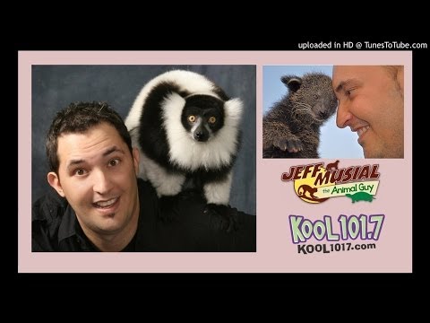 Chris Allen Interviews Jeff Musial The Animal Guy on the KOOL 101.7 Morning Show