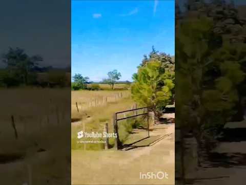 AMBUL, TRASLASIERRA, CÓRDOBA, ARGENTINAambultraslasierras