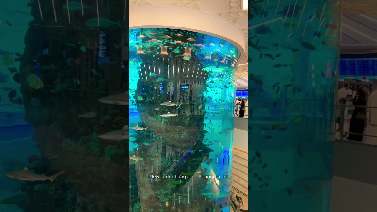 Saudia Al-Fursan Golden Lounge (International)