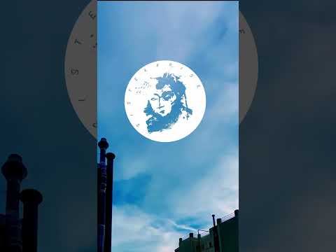 Basic Need - Off the grid