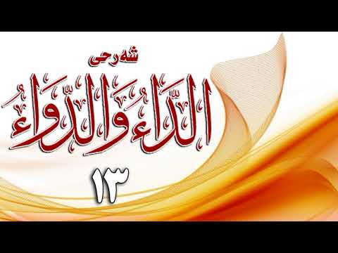 وانەی سێزدەیەم