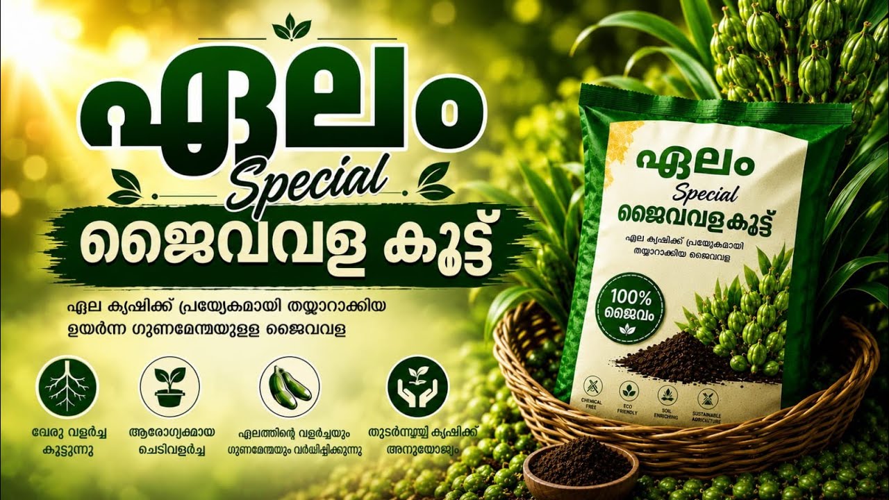 ഏലം സ്പെഷ്യൽ ജൈവ വളകൂട്ട് പൊടിപ്പിക്കുന്ന കണ്ടാലോ | Cardamom Special Organic Fertilizer Powder