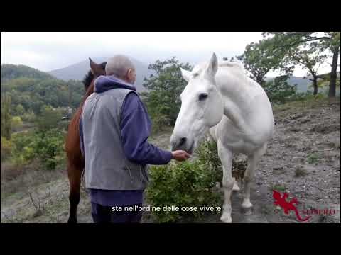 Giovanni Lindo Ferretti, "ÓRA. Difendi, conserva, prega" - Il trailer del libro (Episodio 2)