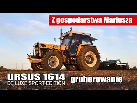Ursus 1614 DeLuxe Sport Edition - gruberowanie w gospodarstwie Mariusza