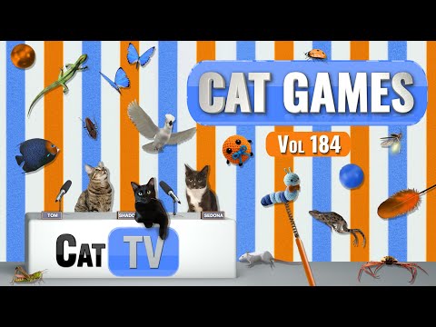 CAT Games | Ultimate Cat TV Compilation Vol 184 | 8 HOURS  🐝🐞🦋🦎🦜🐜🐭🧵