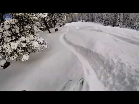 Unlimited Fresh Powder Skiing