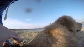 preview picture of video 'GoPro on Ozzy at Peterhead Beach'