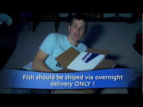 Mr. Saltwater Tank TV Friday AM Quick Tip #120: The Important First Step For Shipped Saltwater Fish