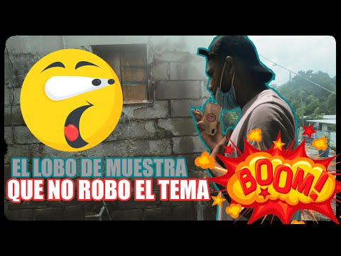 LOBO MALO DE MUESTRA QUE NO ROBO  EL TEMA | Amar Para Que | La Distancia Podía Matar (King dowa)