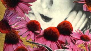 Stars Collide - The 6 O'Clock Phantoms