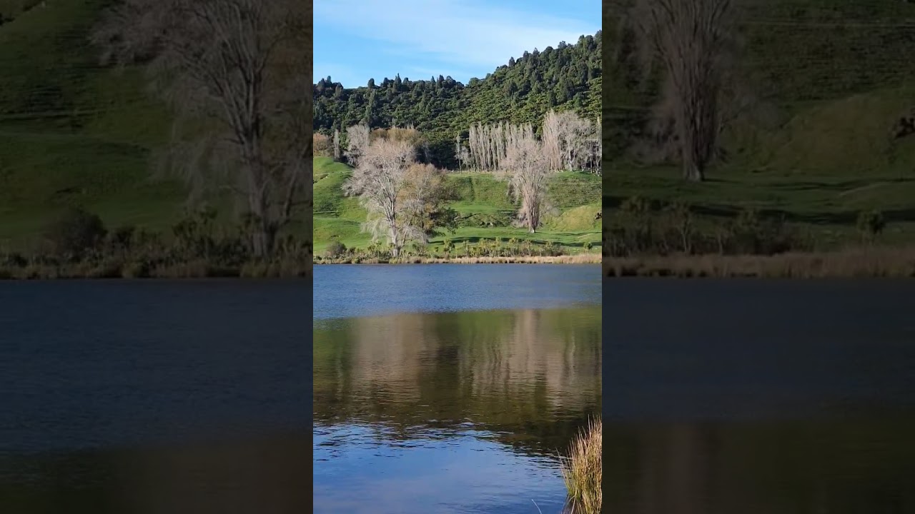 YouTube Short thumbnail