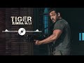 Tiger Zinda Hai Sad BGM Salman Khan Climax BGM