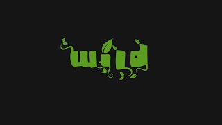 Wild song artwork