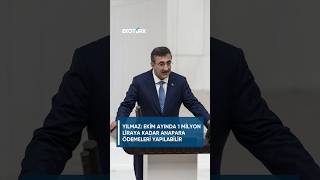 Yılmaz: Fonlardaki zararlar için Hazine kaynağı kullanılmayacak