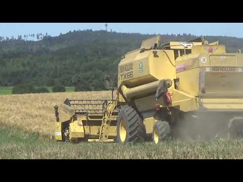 Sklizeň řepky Jedovnicko - 3x kombajn, 2x LIAZ + MAN / vyplašené stádo divočáků / Kojál / CZ harvest