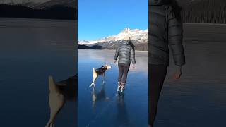 Walking on Crystal-Clear Ice: Nature&#39;s Magic!&quot;#pahalgam #Short #Ytshort # Ytvedio #Frozen lake