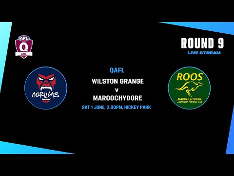 LIVE QAFL ROUND 9 - Wilston Grange v Maroochydore
