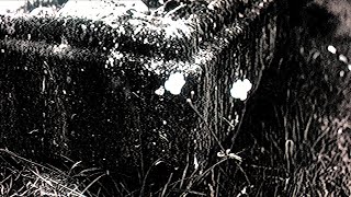 Cover art for Dead to Me