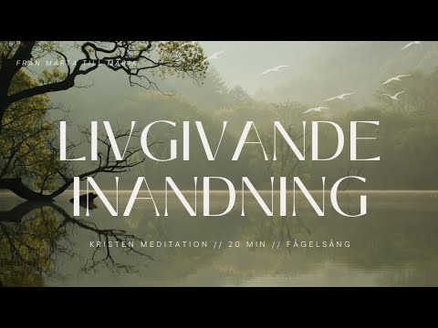 Kristen meditation // Livgivande inandning [fågelsång]  [20 min] [Stinissen]