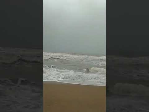 enjoy hawksbay Beach 😃💯♥️#views#viral#content