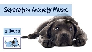Separation Anxiety Music - Calm your Dogs Anxiety with Relaxing Dog Music!