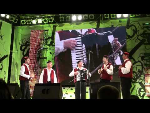 Sinovi Velebita - Velebite - Neumfest 2010.