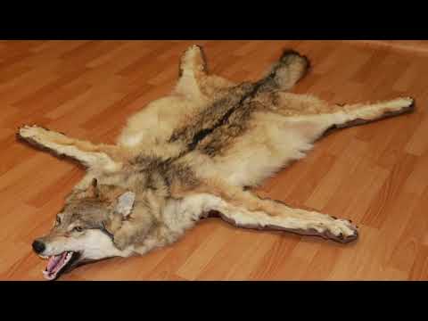 NeGrous Clash (Don BiG / DiB)