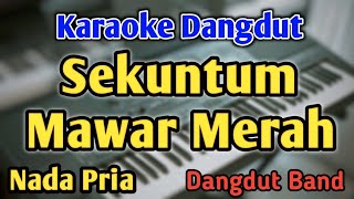 Download lagu SEKUNTUM MAWAR MERAH - KARAOKE || NADA PRIA COWOK || Dangdut Band || Elvy Sukaesih || Live Keyboard mp3