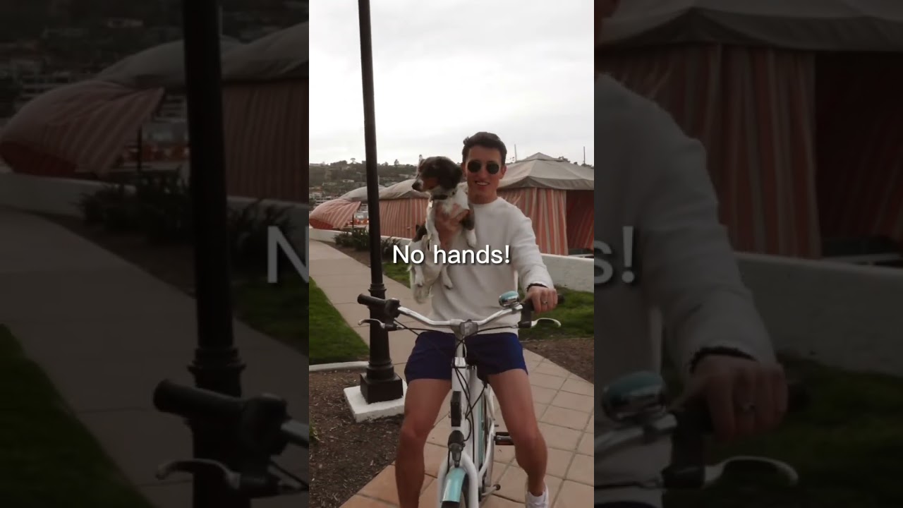 Look Ma no paws! 🐾 Great bike ride in SD! 🚲 Hows ur Monday?🤗 #shorts #dachshund #puppy #viral