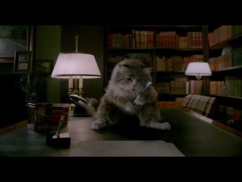 MA VIE DE CHAT - Extrait "Le message" VF