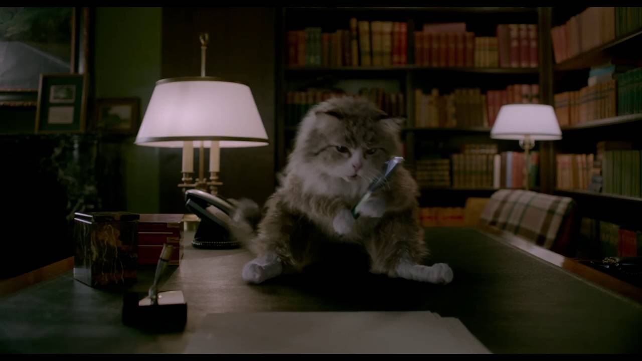 Miniature de la vidéo MA VIE DE CHAT - Extrait "Le message" VF du film Ma Vie de Chat